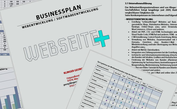 Ich fing an, einen Geschäftsplan zu schreiben, studierte weiter den Markt, führte Marktforschung durch und führte die entsprechenden Berechnungen durch. Ich hatte bald mein Ziel erreicht. Image